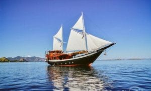 Komodo Island Fantastic